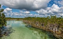 Crean mayas experiencias turísticas en Quintana Roo