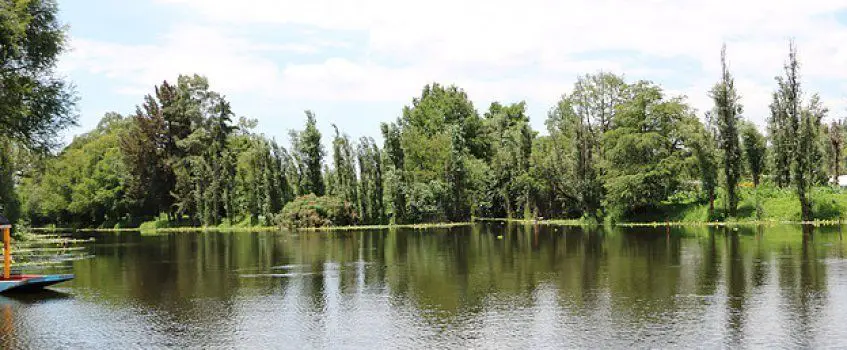 La laguna de Xaltocan es parte del tour ecológico en Xochimilco