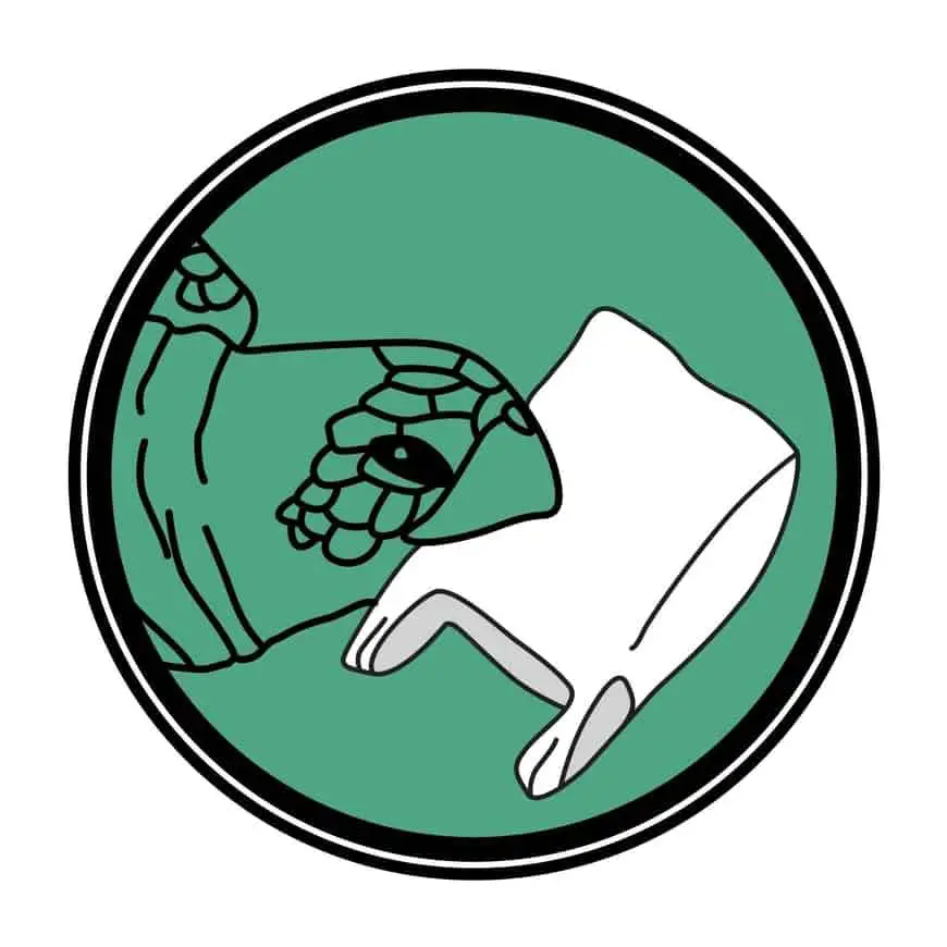Logo Desplastifícate Todos Santos y Pescadero
