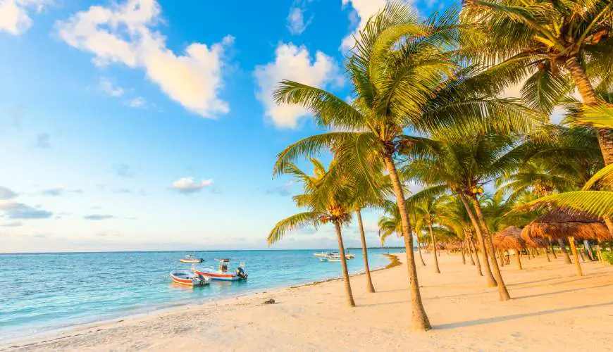 playa con palmeras y agua de mar azul cristalina maravillas