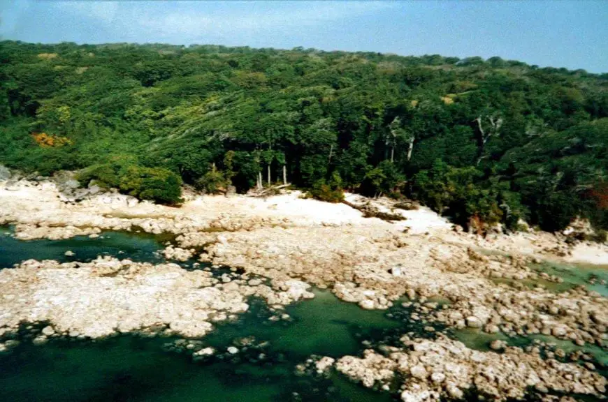 Selva en la isla Sentinela, parte del archipiélago de las Andamán